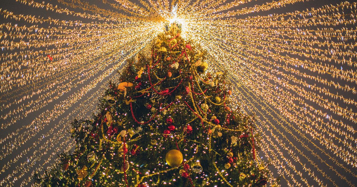 Christmas tree and Christmas light